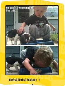 偷同学丝袜,校园里的神秘窃案